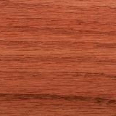 Species Oak Stain Cherry Lrg